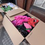 Mixed High Street Clothing pallets